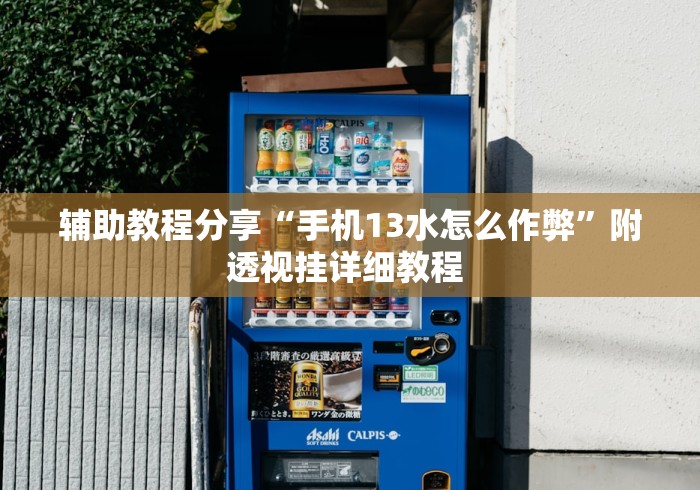 辅助教程分享“手机13水怎么作弊”附透视挂详细教程 