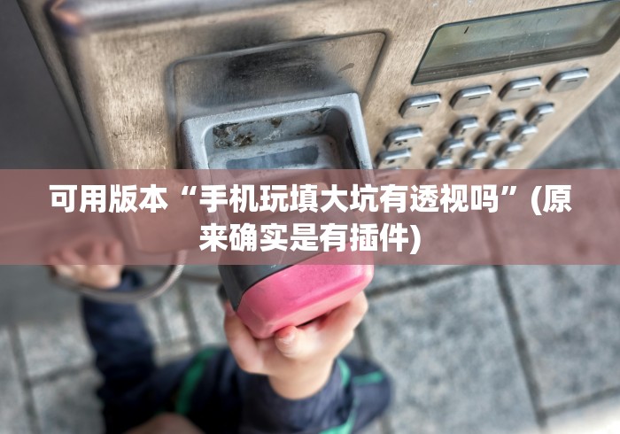 可用版本“手机玩填大坑有透视吗”(原来确实是有插件)