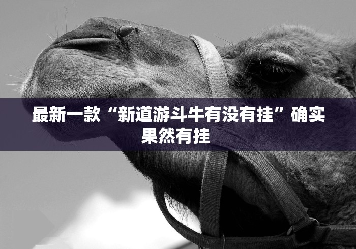 最新一款“新道游斗牛有没有挂	”确实果然有挂 