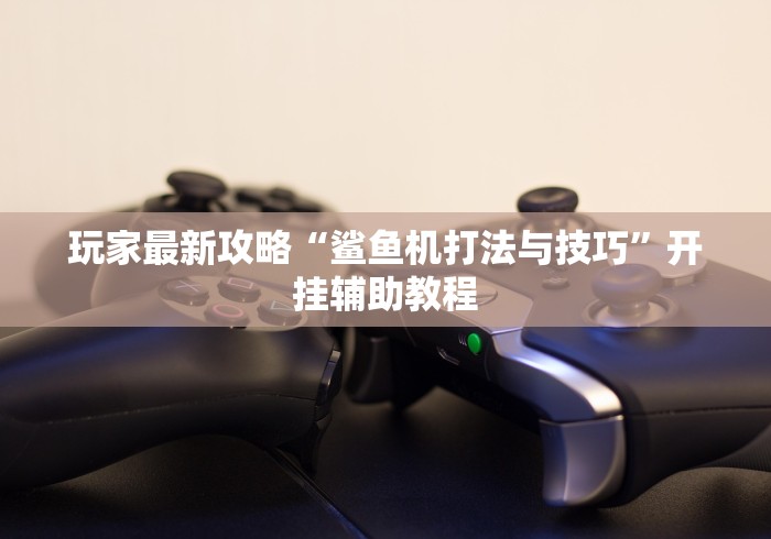 2026最新版下载“多乐跑胡子如何提高胡牌率”附开挂脚本详细步骤