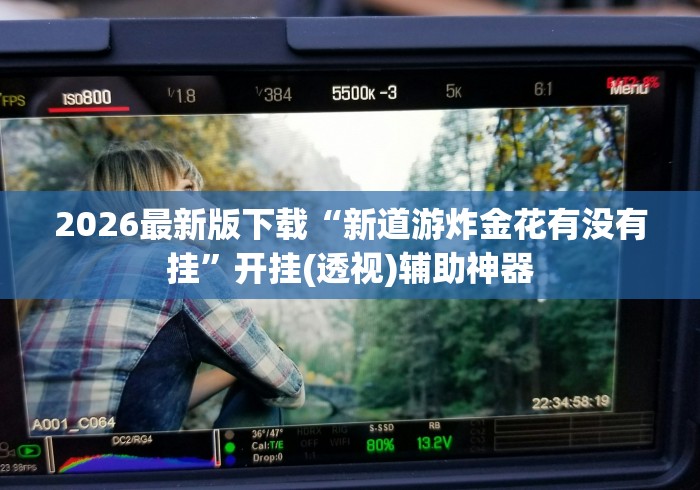 2026最新版下载“新道游炸金花有没有挂	”开挂(透视)辅助神器