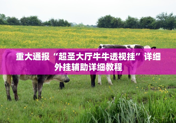 重大通报“超圣大厅牛牛透视挂	”详细外挂辅助详细教程