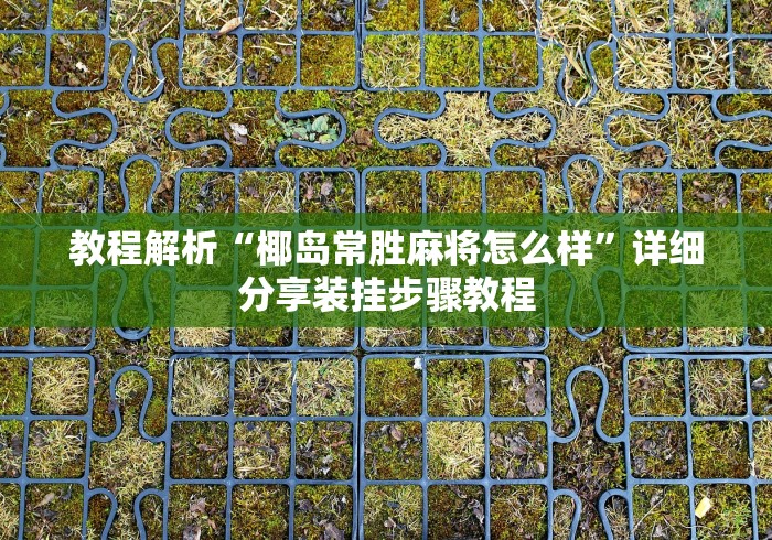 教程解析“椰岛常胜麻将怎么样	”详细分享装挂步骤教程