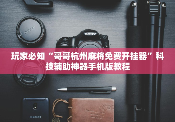 玩家必知“哥哥杭州麻将免费开挂器”科技辅助神器手机版教程