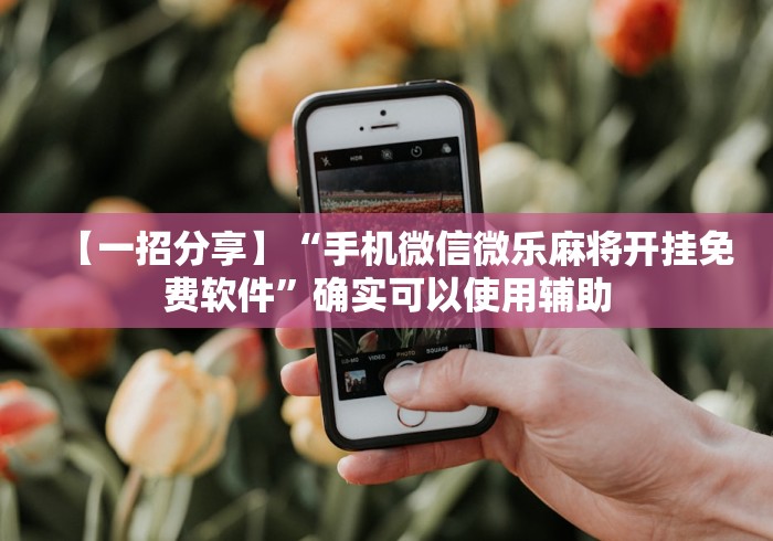 【一招分享】“手机微信微乐麻将开挂免费软件”确实可以使用辅助