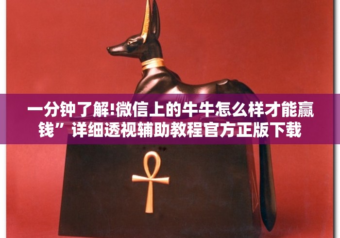 一分钟了解!微信上的牛牛怎么样才能赢钱	”详细透视辅助教程官方正版下载