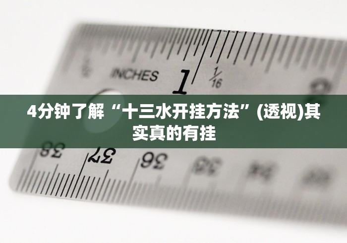 4分钟了解“十三水开挂方法	”(透视)其实真的有挂