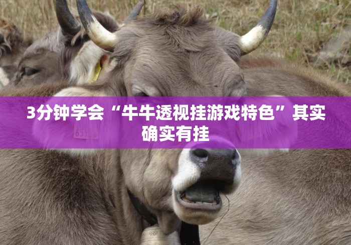 3分钟学会“牛牛透视挂游戏特色”其实确实有挂