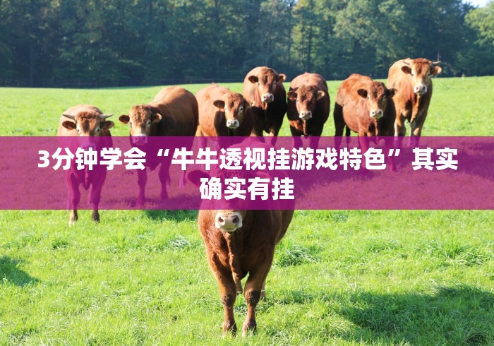 一分钟介绍应用“亲友汇棋牌S级最新体验.稳赢必进我.中国/大连”辅助挂下载