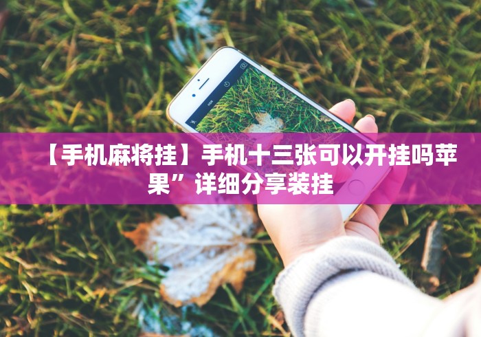 【手机麻将挂】手机十三张可以开挂吗苹果”详细分享装挂