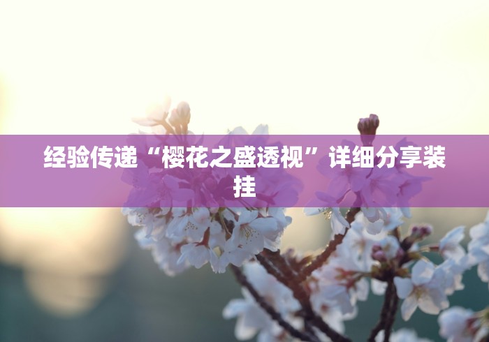 经验传递“樱花之盛透视”详细分享装挂