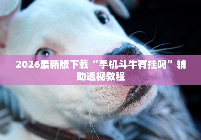 【玩家必备技术】“云龙干瞪眼麻将外卦神器下载安装	”原来有神器下载