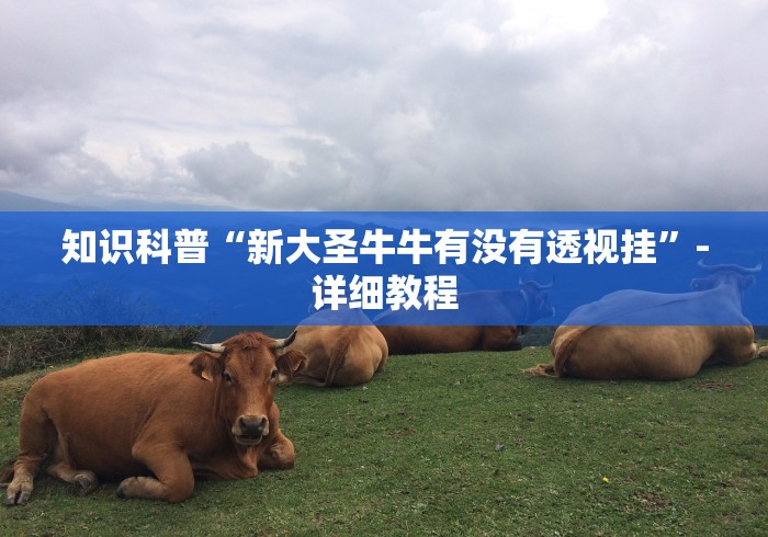 玩家爆料“微乐小程序麻将有挂吗安全吗	”(果然有透视挂) 