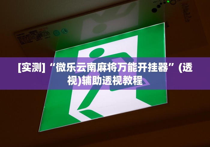 [实测]“微乐云南麻将万能开挂器”(透视)辅助透视教程