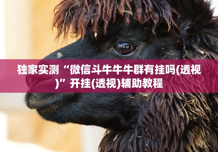 独家实测“微信斗牛牛牛群有挂吗(透视)	”开挂(透视)辅助教程