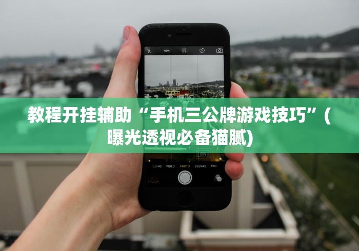 【重大消息】“湖南字牌跑胡子心得体会技巧”揭秘透视辅助万能挂 