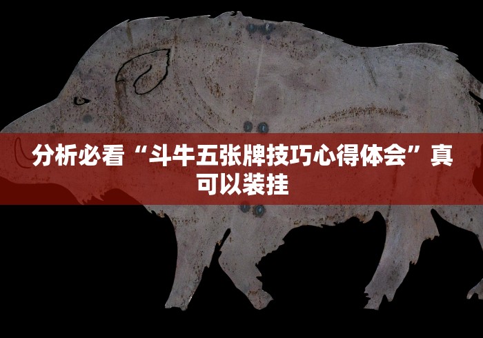 分析必看“斗牛五张牌技巧心得体会	”真可以装挂