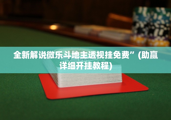 全新解说微乐斗地主透视挂免费”(助赢详细开挂教程)