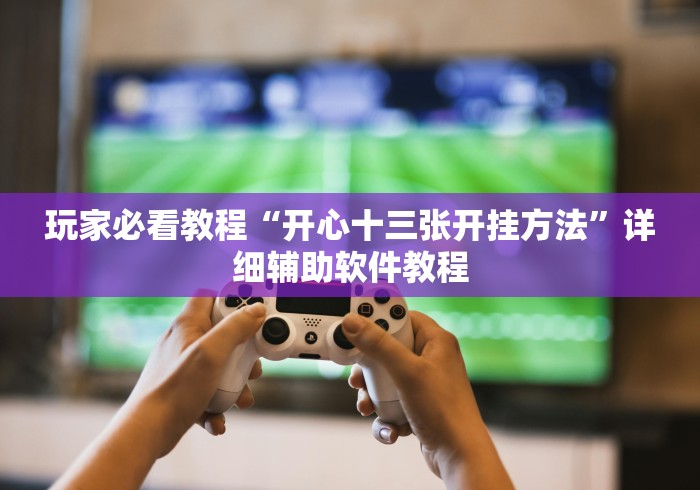 玩家必看教程“开心十三张开挂方法	”详细辅助软件教程