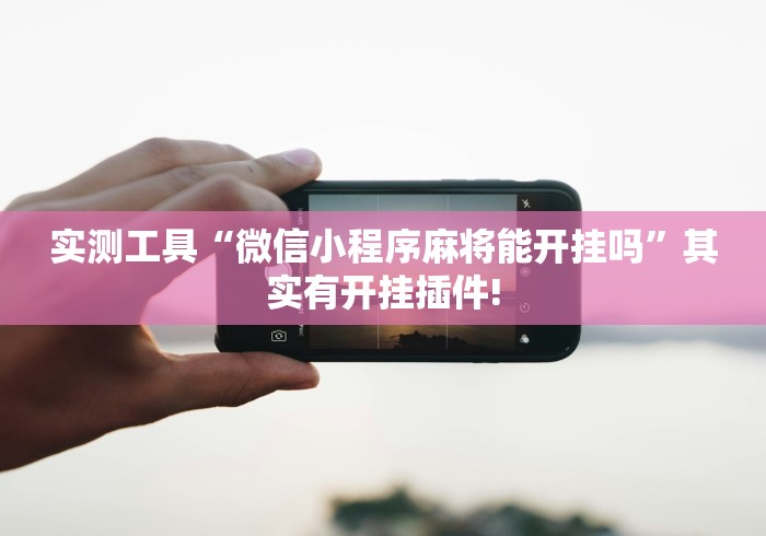 实测工具“微信小程序麻将能开挂吗”其实有开挂插件!