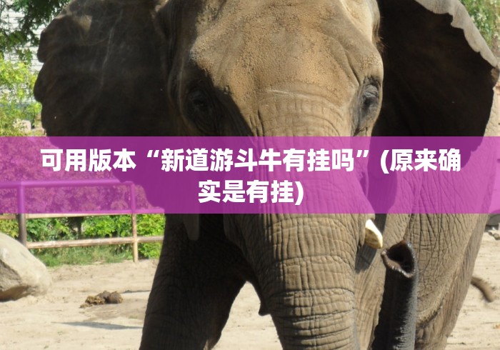 可用版本“新道游斗牛有挂吗”(原来确实是有挂)