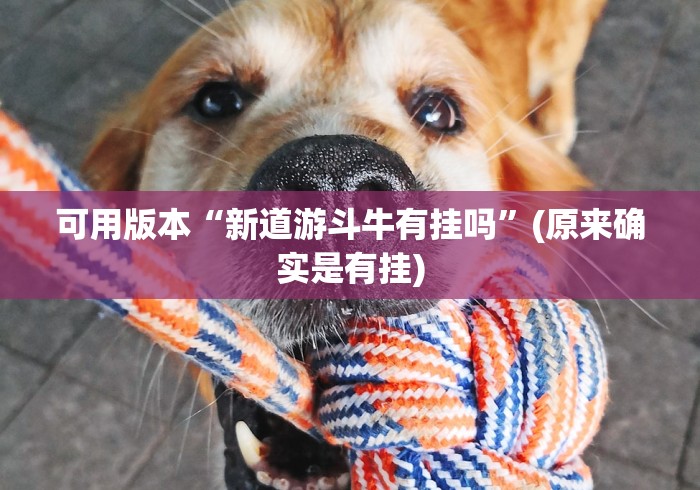 【最新科普】十三水娱乐场技巧”原来可以开挂