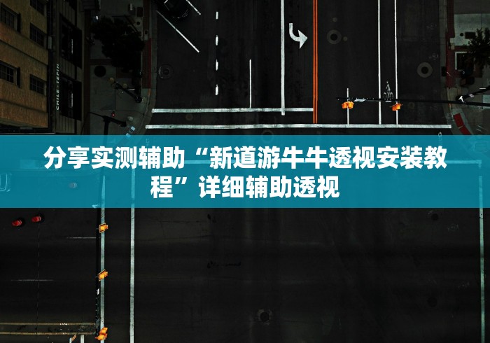 分享实测辅助“新道游牛牛透视安装教程	”详细辅助透视