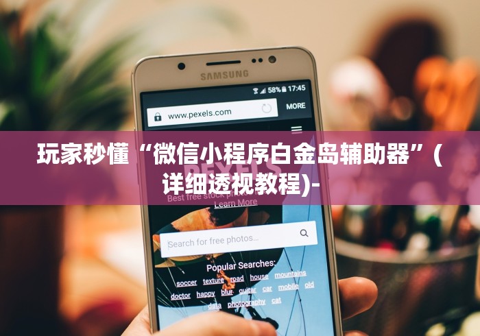 玩家秒懂“微信小程序白金岛辅助器”(详细透视教程)-