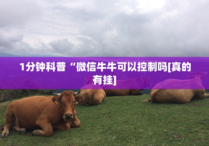 使用分享“牵手跑胡子透视辅助软件”可以开挂作弊
