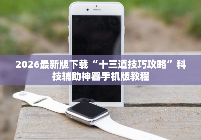 2026最新版下载“十三道技巧攻略”科技辅助神器手机版教程