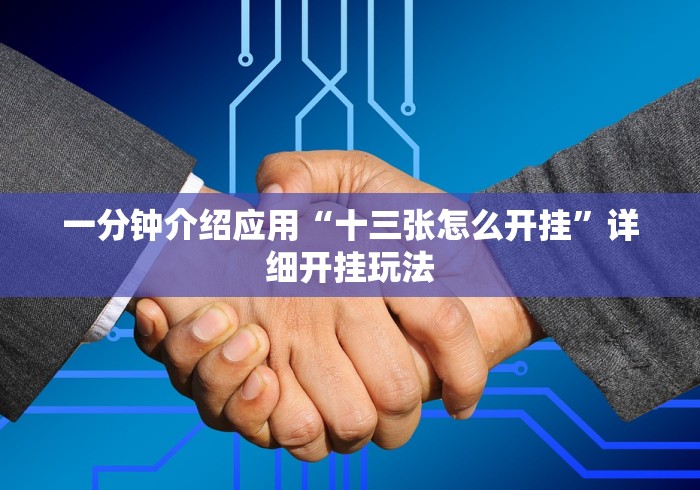 一分钟介绍应用“十三张怎么开挂”详细开挂玩法
