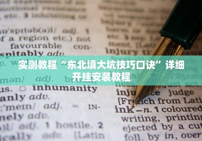 实测教程“东北填大坑技巧口诀”详细开挂安装教程