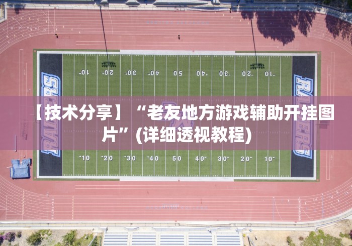 【技术分享】“老友地方游戏辅助开挂图片”(详细透视教程)