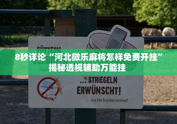 8秒详论“河北微乐麻将怎样免费开挂	”揭秘透视辅助万能挂 