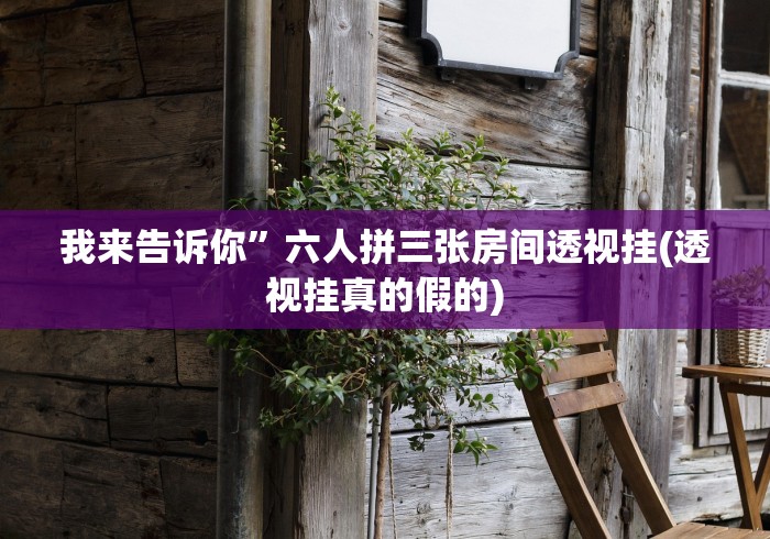 我来告诉你	”六人拼三张房间透视挂(透视挂真的假的)