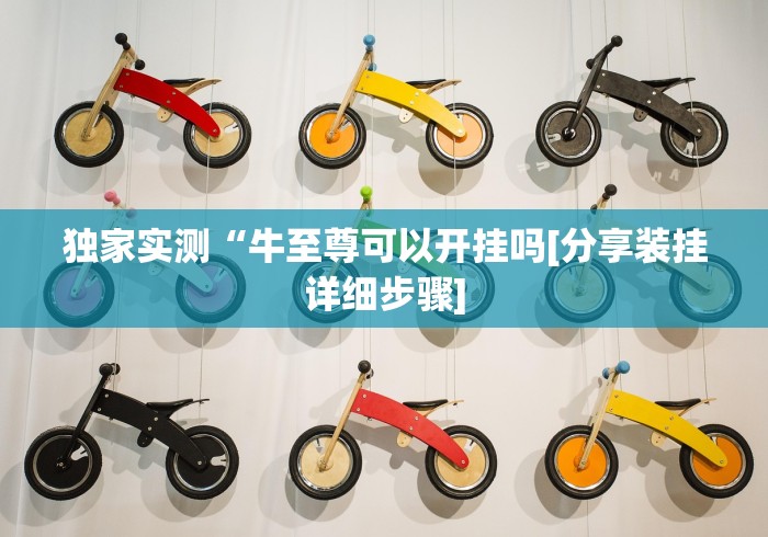 独家实测“牛至尊可以开挂吗[分享装挂详细步骤]
