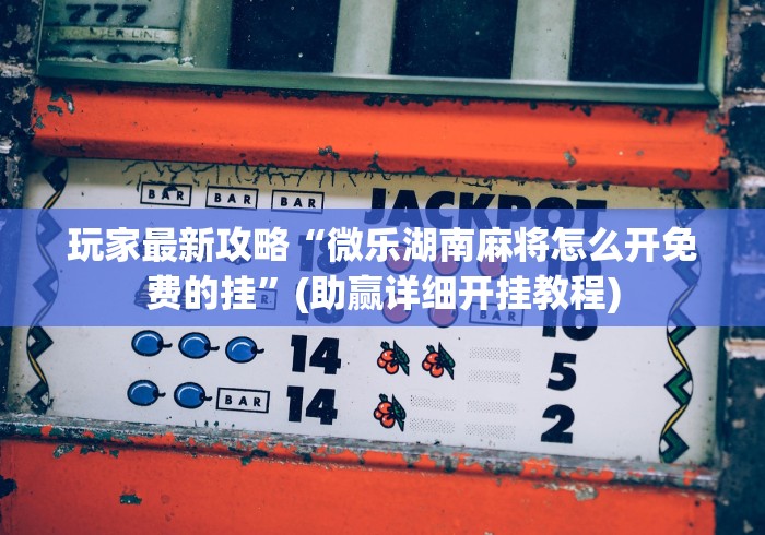 玩家最新攻略“微乐湖南麻将怎么开免费的挂	”(助赢详细开挂教程)