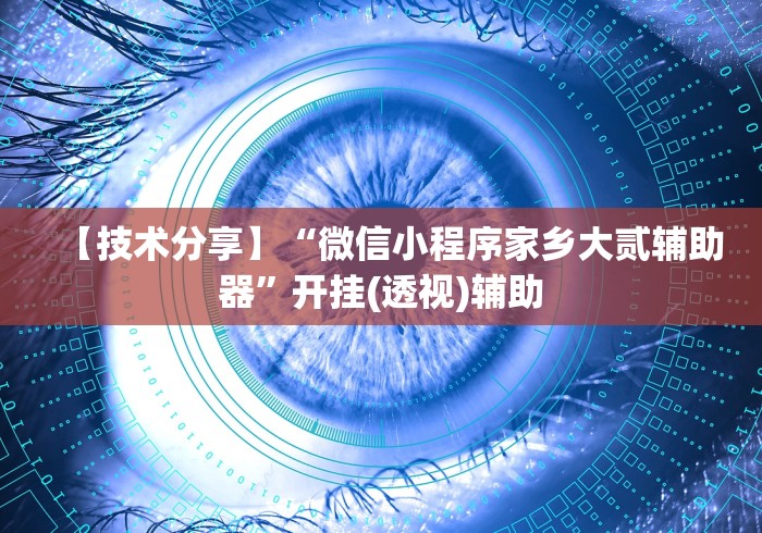 【技术分享】“微信小程序家乡大贰辅助器”开挂(透视)辅助
