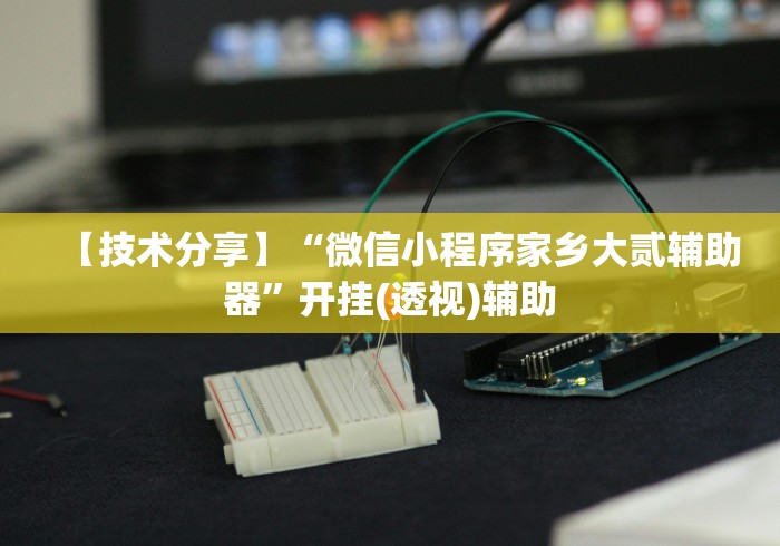 【技术分享】“微信小程序家乡大贰辅助器	”开挂(透视)辅助