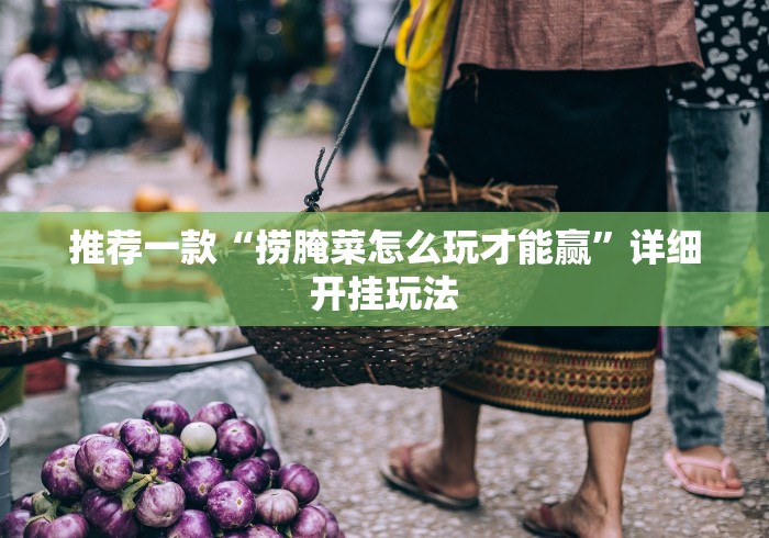 推荐一款“捞腌菜怎么玩才能赢	”详细开挂玩法