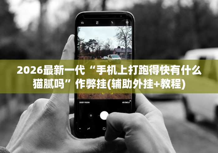 2026最新一代“手机上打跑得快有什么猫腻吗”作弊挂(辅助外挂+教程)