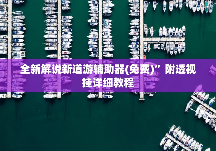 全新解说新道游辅助器(免费)”附透视挂详细教程