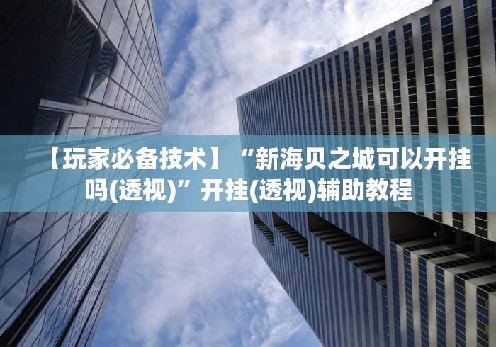 【玩家必备技术】“新海贝之城可以开挂吗(透视)	”开挂(透视)辅助教程