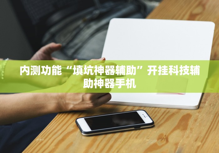 内测功能“填坑神器辅助”开挂科技辅助神器手机