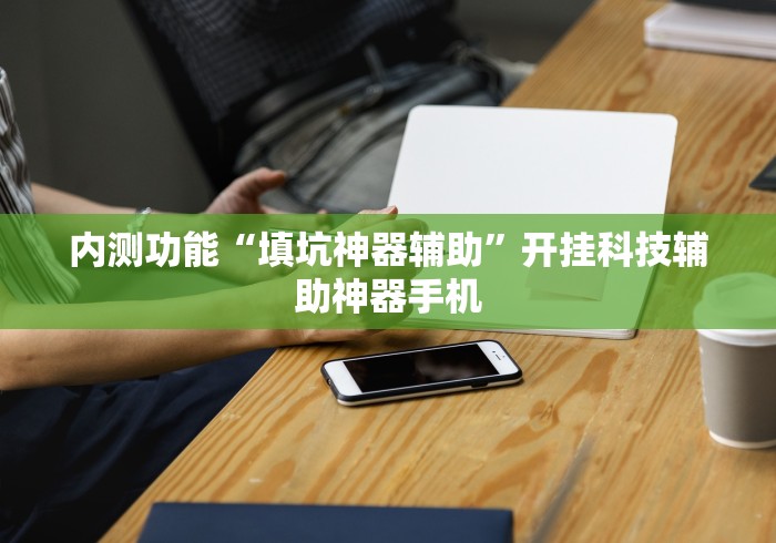 内测功能“填坑神器辅助”开挂科技辅助神器手机