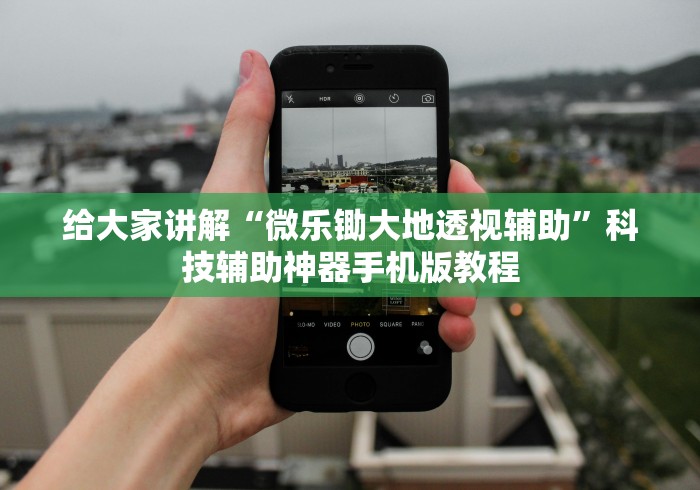 给大家讲解“微乐锄大地透视辅助”科技辅助神器手机版教程