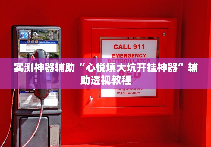 实测神器辅助“心悦填大坑开挂神器	”辅助透视教程