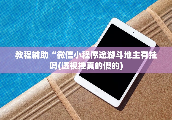 教程辅助“微信小程序途游斗地主有挂吗(透视挂真的假的)