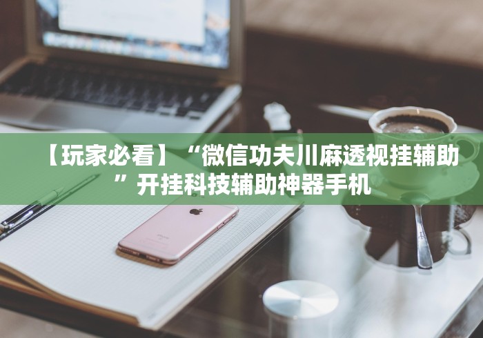 【玩家必看】“微信功夫川麻透视挂辅助	”开挂科技辅助神器手机