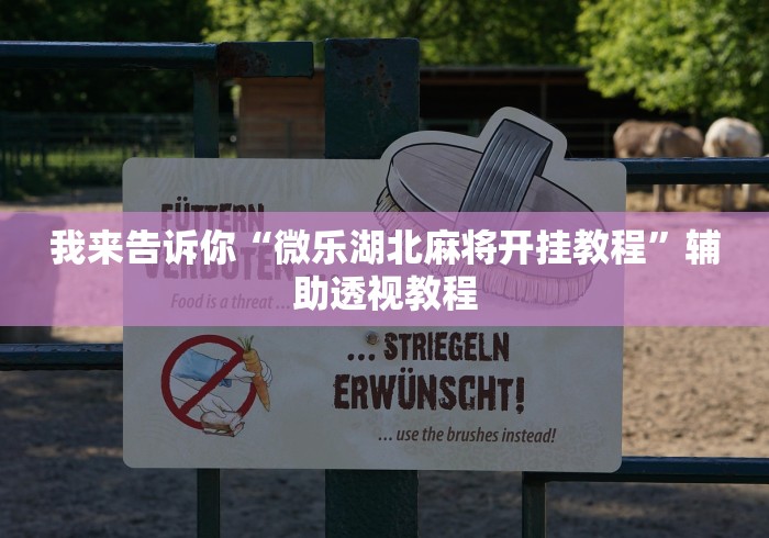 我来告诉你“微乐湖北麻将开挂教程	”辅助透视教程
